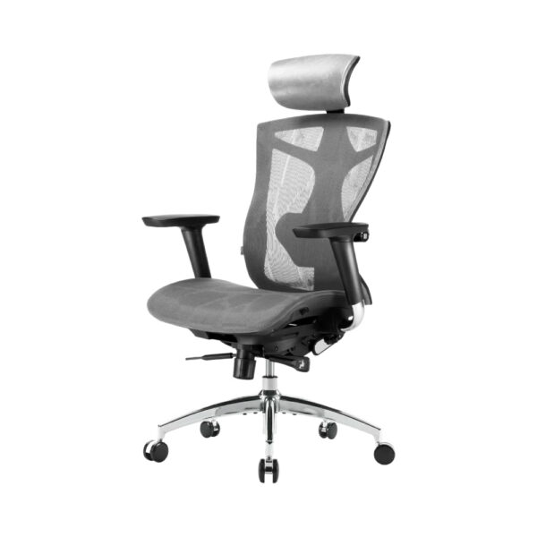 Sihoo V1 Luxury Ergonomic Office Chair