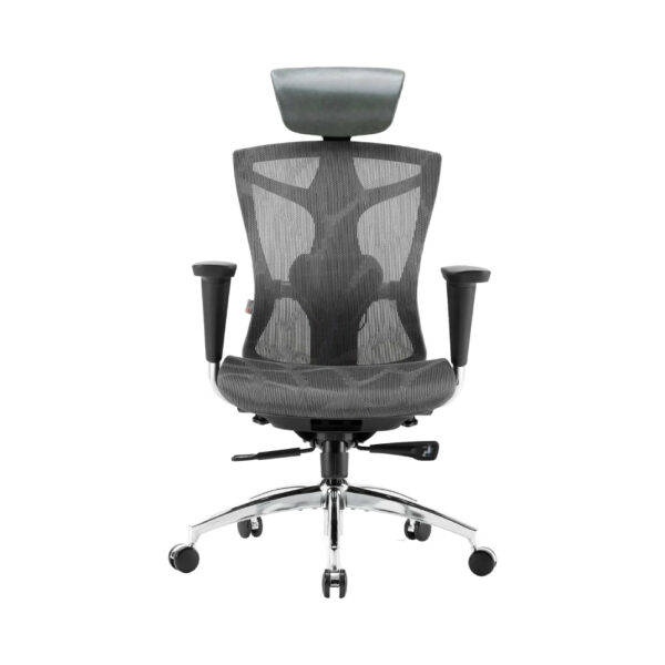 Sihoo V1 Luxury Ergonomic Office Chair